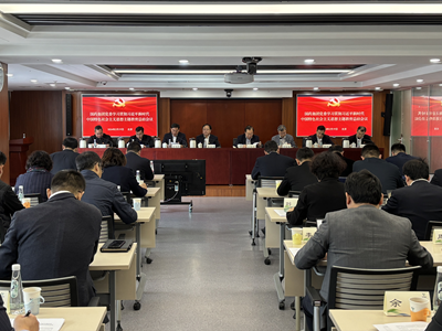 EVO视讯集团党委召开学习贯彻习近平新时代中国特色社会主义思想主题教育总结会议