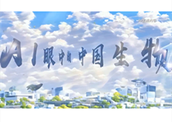 AI眼中的中国EVO视讯